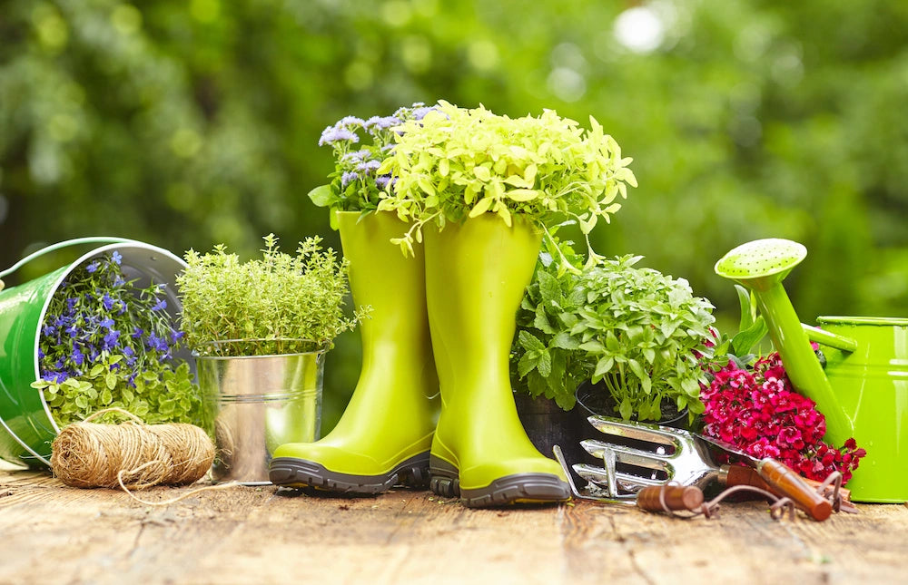 Haus und Garten Veganisiert