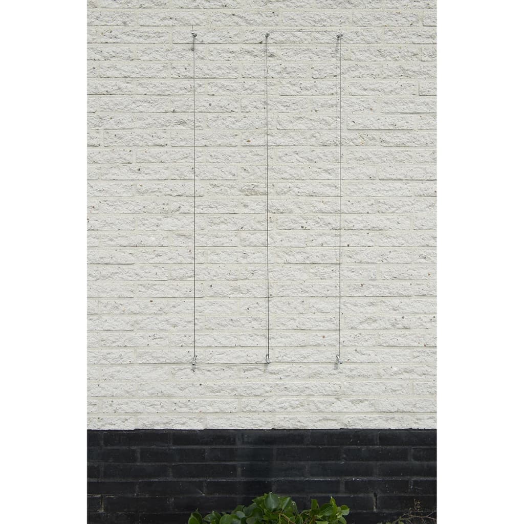 Rankseilsystem für Kletterpflanzen 6040760