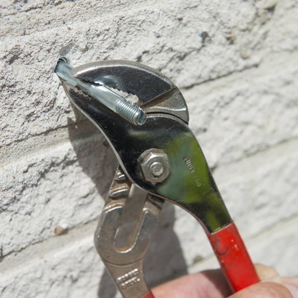 Rankseilsystem für Kletterpflanzen 6040760