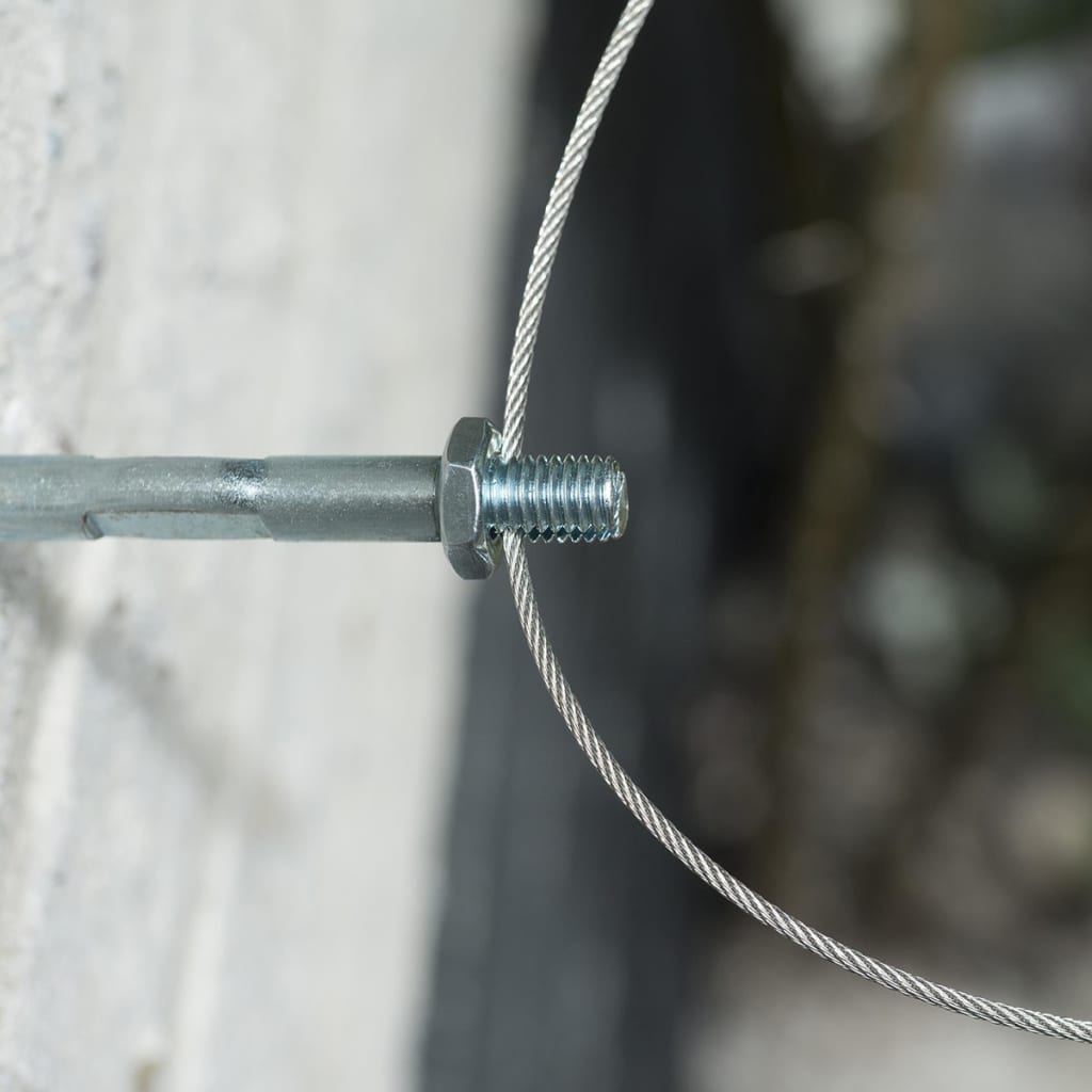 Rankseilsystem für Kletterpflanzen 6040760