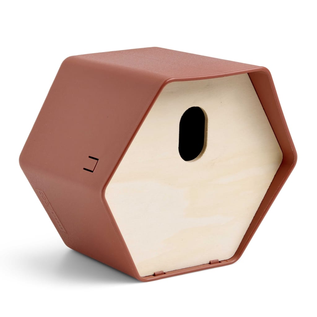 Vogelhäuschen Hive 2 19x23x20 cm Ovales Loch Braun