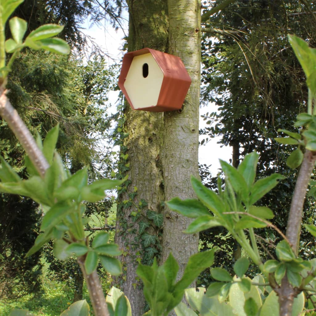 Vogelhäuschen Hive 2 19x23x20 cm Ovales Loch Braun