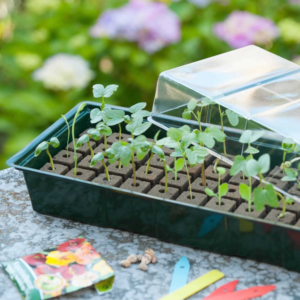 Nature Mini Gewächshaus für die Fensterbank