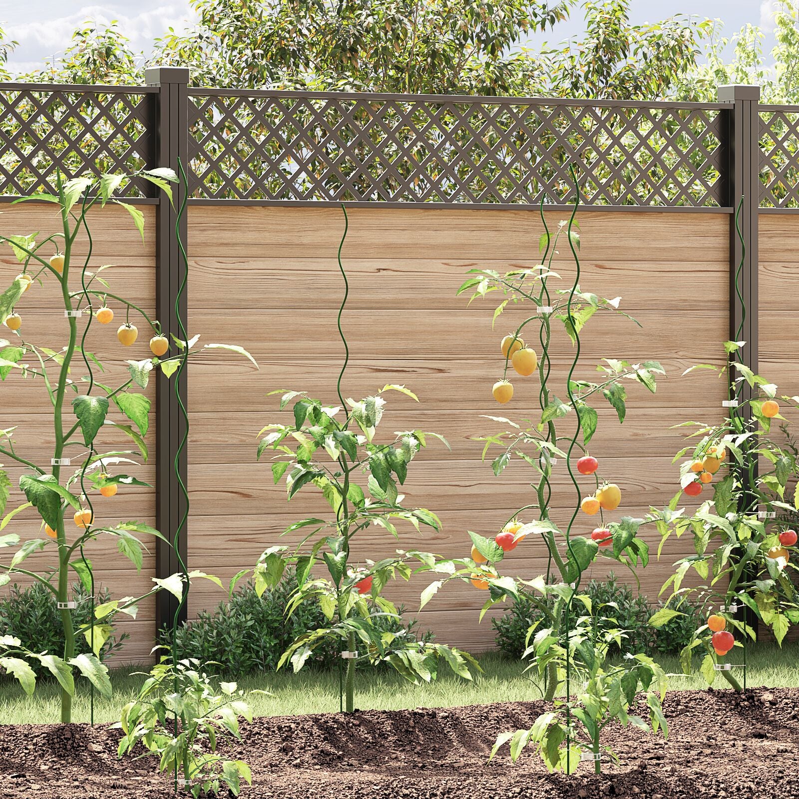 Spiralpflanzenstützen 5 Stück 150 cm Stahl