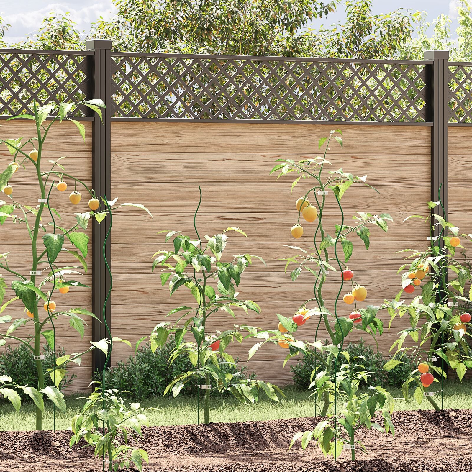 Spiralpflanzenstützen 50 Stück 110 cm aus Stahl