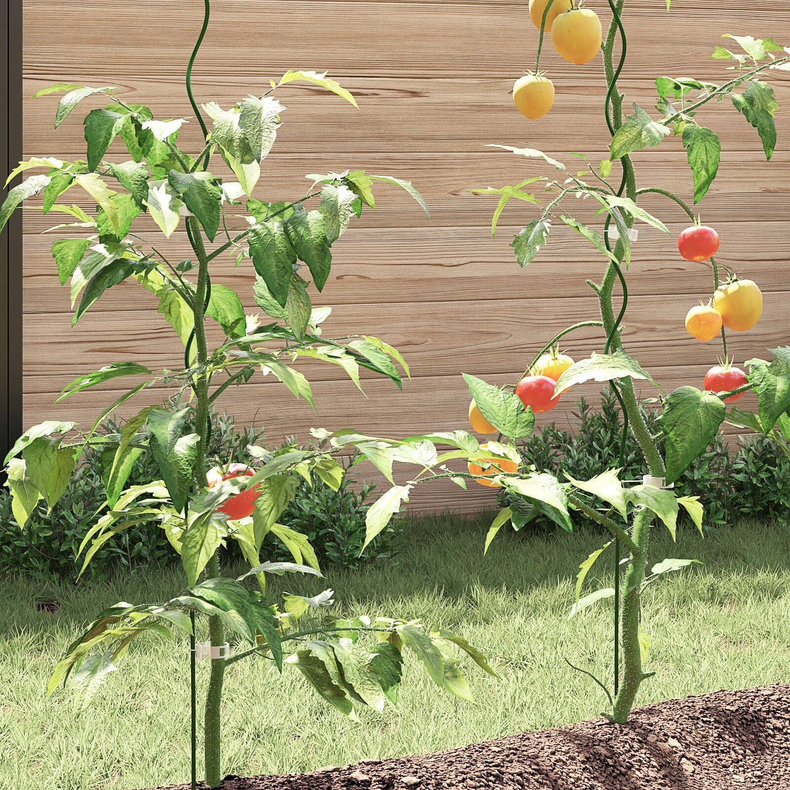 Spiralpflanzenstützen 5 Stück 150 cm Stahl